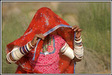 Thar Desert &ndash; veil